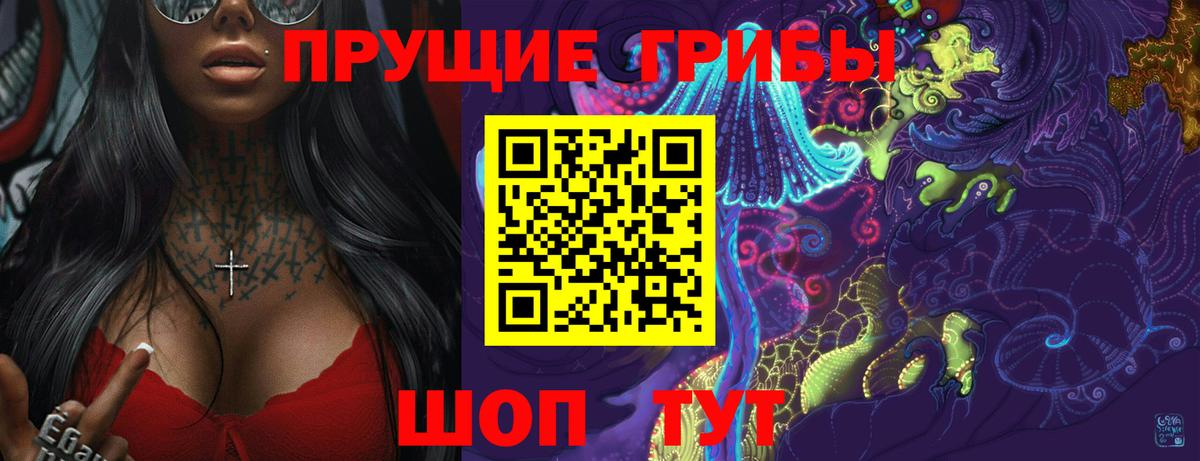 Россошь  Псилоцибиновые грибы Cubensis  Вход с VPN 