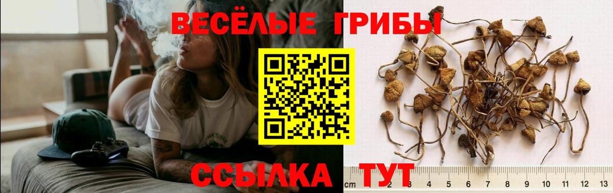 Псилоцибиновые грибы ЛСД Россошь